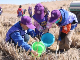 甘肅建投新能源公司沙漠研學(xué)旅行基地舉辦“我與小樹(shù)共成長(zhǎng)，爭(zhēng)做護(hù)綠小使者”主題研學(xué)活動(dòng)